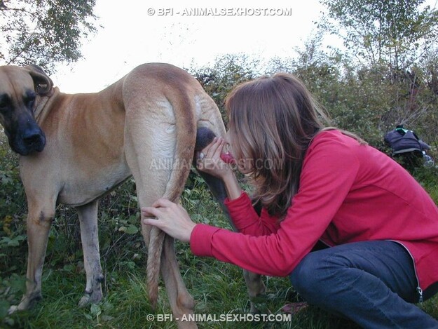 bilara toro images bestiality 