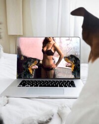 album-cover