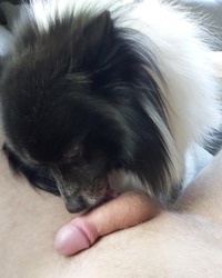 photo-thumb