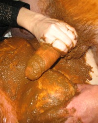 photo-thumb