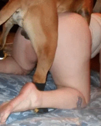 album-cover