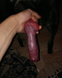 photo-thumb