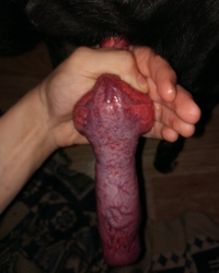 photo-thumb