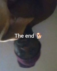 album-cover