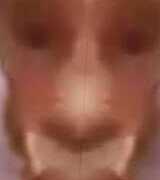 Doggoluv's Avatar
