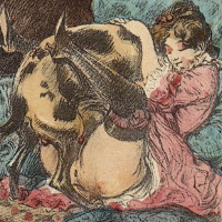 14truezoo88's Avatar