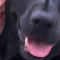K9time's Avatar
