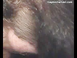 Thumb 6