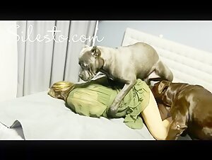 Taboo Dog Sex - Veronica Silesto Dog Porn - ZooSkool Videos - Bestiality sex