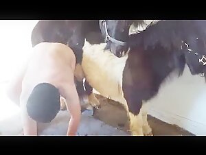 chico fodendo con caballo (5)