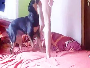 joven con perro
