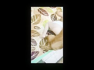 国内人兽交200部精品，加qq1587477806