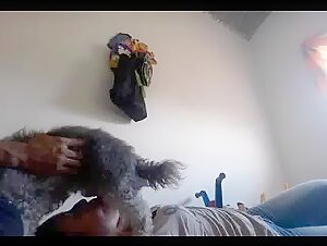 Sucking dog cock