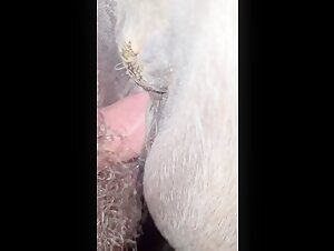 Thumb 9