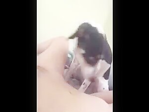 Horny dog lick amateur teen pussy - ZooSkool Videos - Bestiality sex