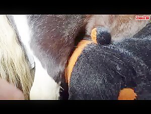 Thumb 9