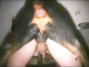 Chico gay follado por un canino enorme dicked