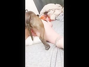 dog & woman - ZooSkool Videos - Bestiality sex