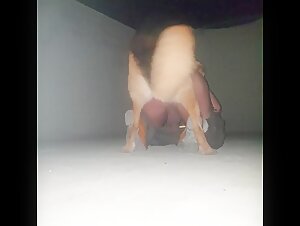 Dude gets his asshole drilled by a dog