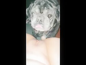 Lick