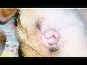 Thumb 10