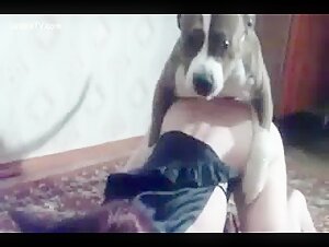 soubrette  rousse baisee par dog patron