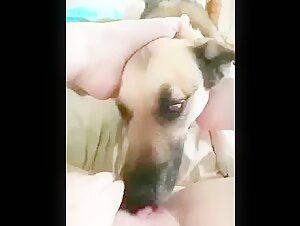 Lickig mama