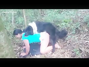 Cachorro comendo a coroa