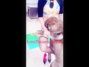 Chinese zoo porn 8