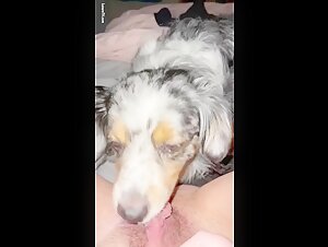 teen lick