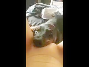Dog eating pussy 2