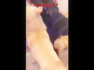Thumb 7