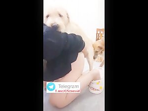 Chinese dog sex whole collection 3
