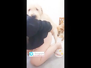 bitch sex with dog one by one