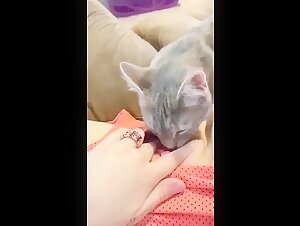 Indian wife playing with pussy