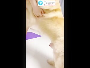 Thumb 6