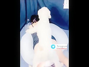 Chinese fatty girl fucked by big dog