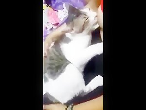 She is nursing cat