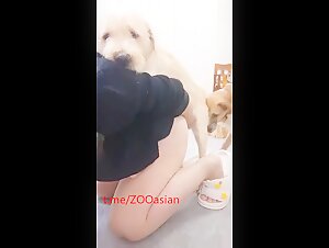 Asian mom teaching her dog son