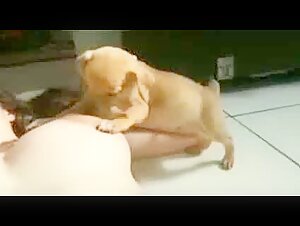 breast feed