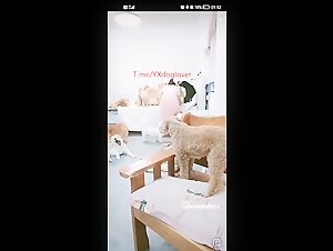 Thumb 8