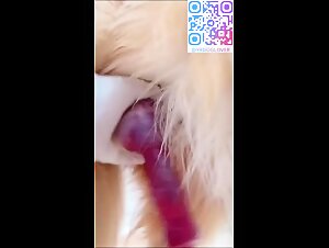 My dog's size just right with my pussy 1