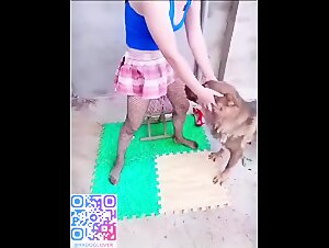 Dog so hurry cuz DAD gonna back home