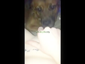dog lick