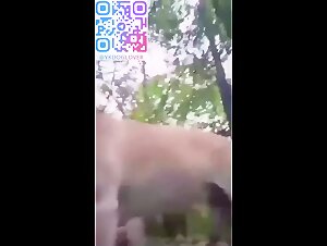 Chinese bbw dog fuck