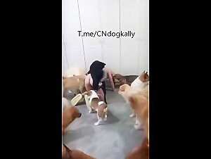 Group sex dog take turns NO MERCY