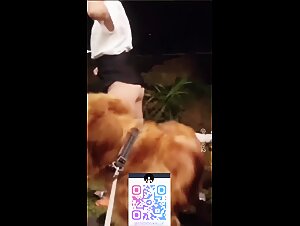 Chinese student after school