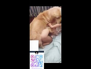asian husband force dog fuck wife