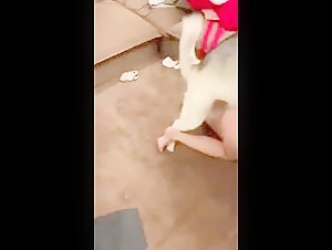 leashed chinese girl and dog intercourse