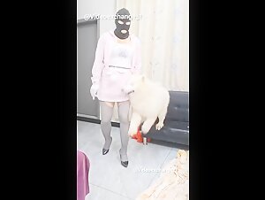 Homemade dog video